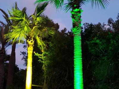 Lighting for house and garden