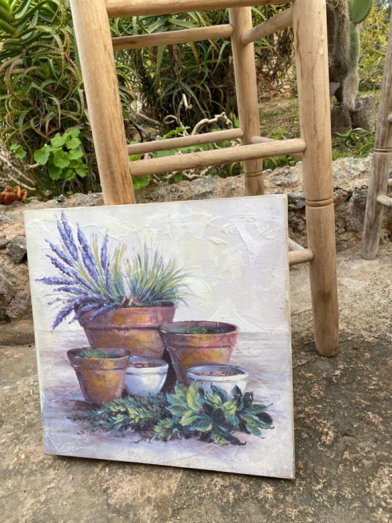 Image with flower pots, lavender plant