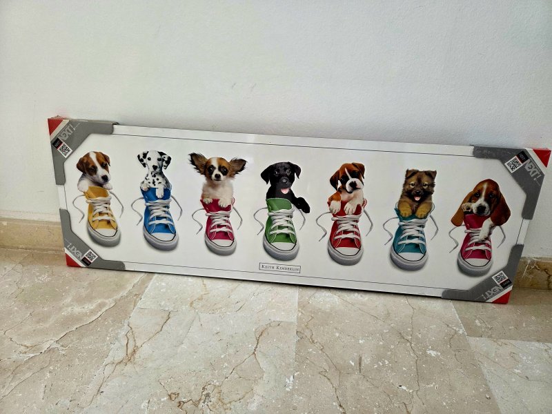 Bild Motiv Sneakers von K.Kimberlin