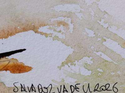 Blauer und roter Hahn