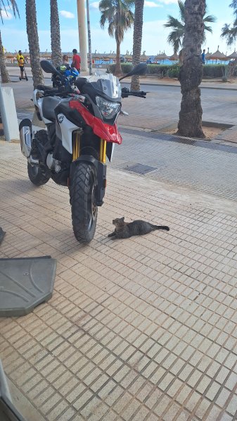 BMW GS 310