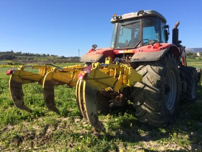 Land preparation with subsoiler. Ploughs to a depth of 80 cm