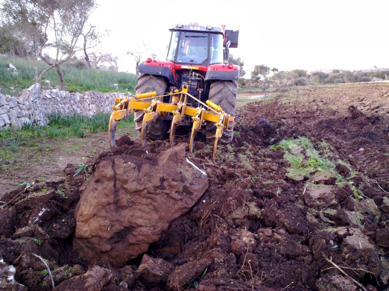 Land preparation with subsoiler. Ploughs to a depth of 80 cm