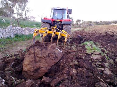 Land preparation with subsoiler. Ploughs to a depth of 80 cm