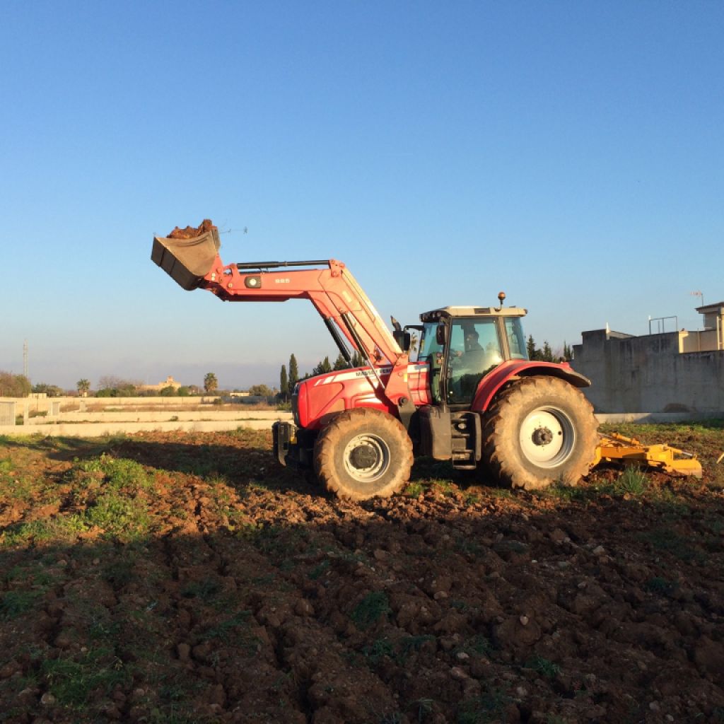 Land preparation with subsoiler. Ploughs to a depth of 80 cm
