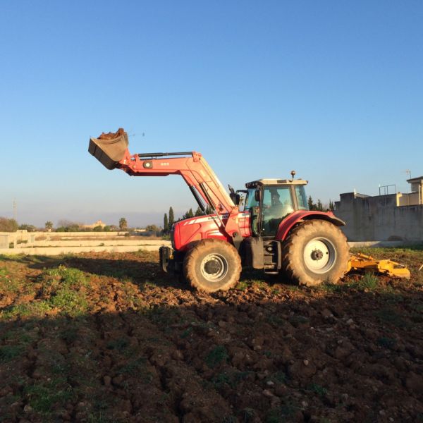 Land preparation with subsoiler. Ploughs to a depth of 80 cm