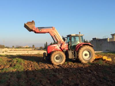 Land preparation with subsoiler. Ploughs to a depth of 80 cm