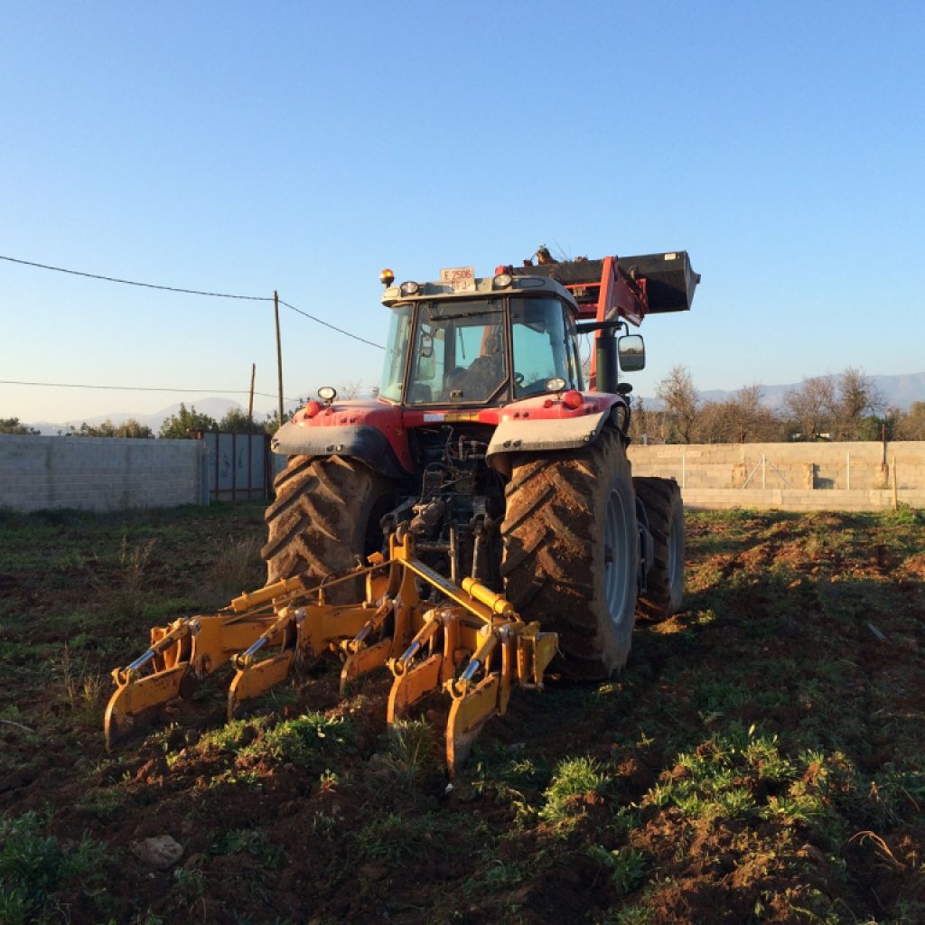 Land preparation with subsoiler. Ploughs to a depth of 80 cm