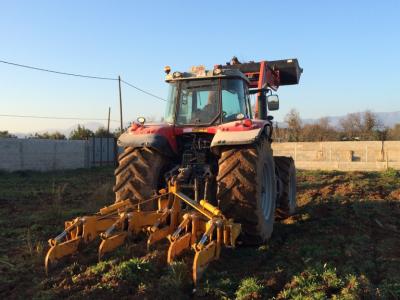 Land preparation with subsoiler. Ploughs to a depth of 80 cm