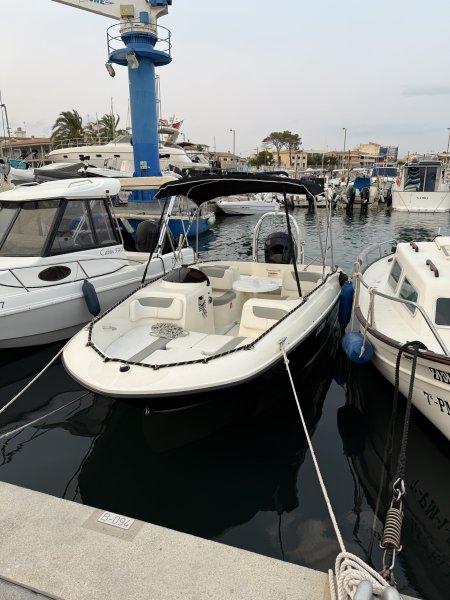 Boot Sharing - Bayliner Sa Rapita
