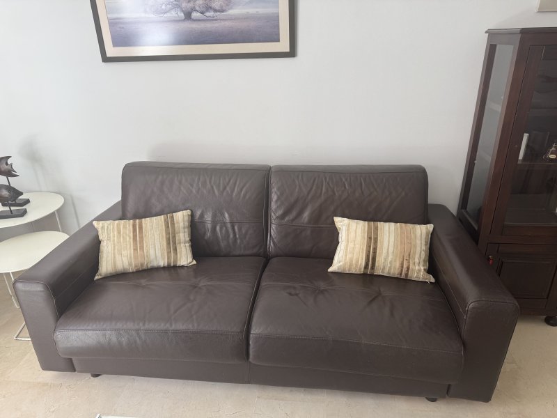Braunes Ledersofa