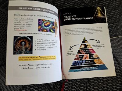 Buch - Die Ernährungslügen