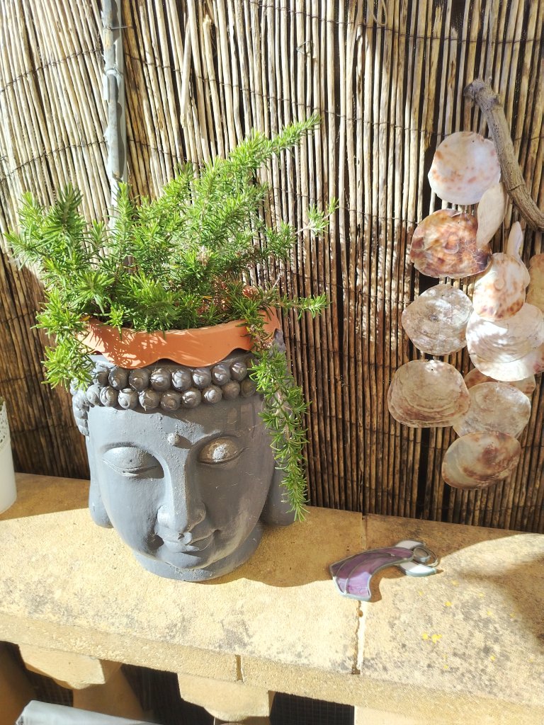 Budda und Budda Blumentopf