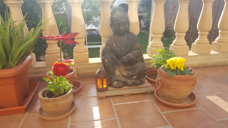 Budda und Budda Blumentopf