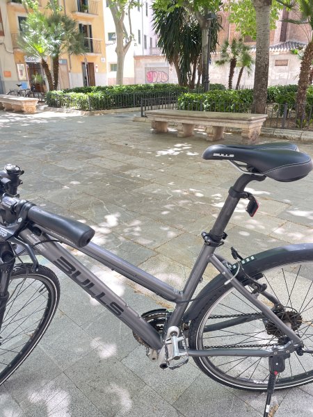 BULLS Trekking-/Citybike Damen