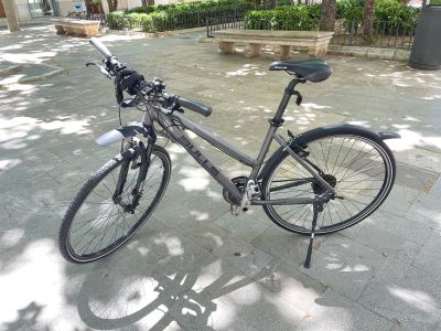 BULLS Trekking-/Citybike Damen