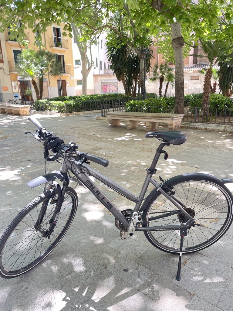 BULLS Trekking-/Citybike Damen