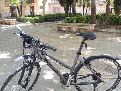 BULLS Trekking-/Citybike Damen