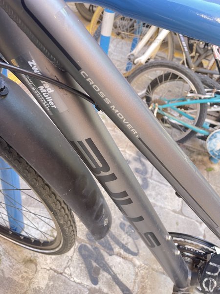 BULLS Trekking-/Citybike Damen