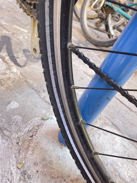 BULLS Trekking-/Citybike Damen