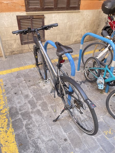 BULLS Trekking-/Citybike Damen