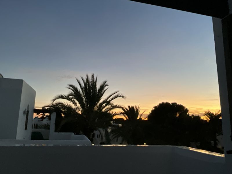 Cala dòr - Suche kleines Grundstück mit Palme als Garten