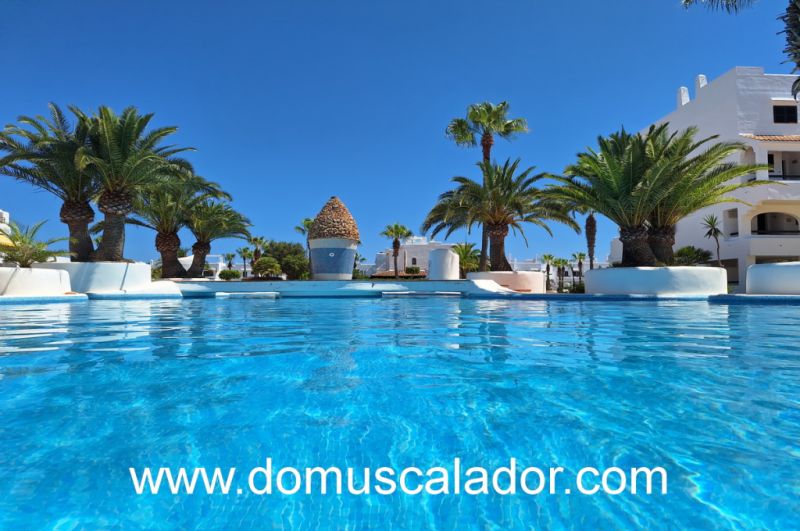 Calad´Or - available in May