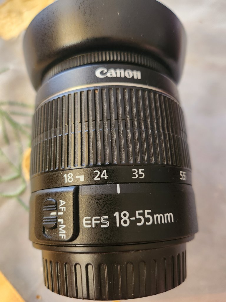 Canon Objektiv für EOS Serie EF-S 18-55mm
