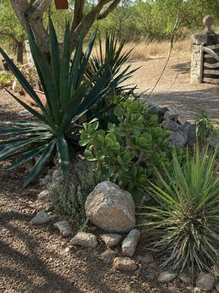 CasaGuard Mallorca - Home & Gardencare