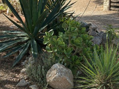 CasaGuard Mallorca - Home & Gardencare