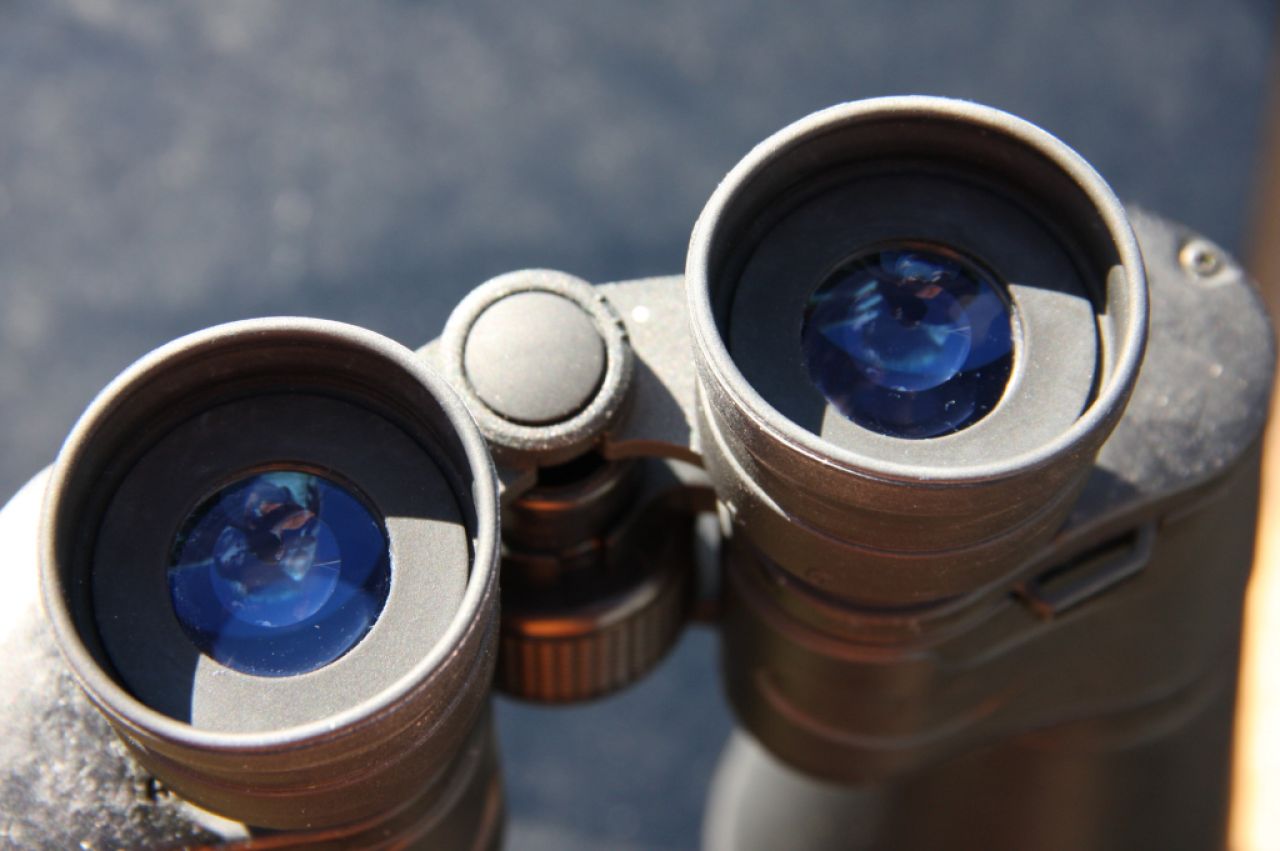 CELESTRON Fernglas "Cometron" 12x70, Sehfeld 4,6 Grad, Gewicht ca. 1,4 kg, brillenträgergeeignet