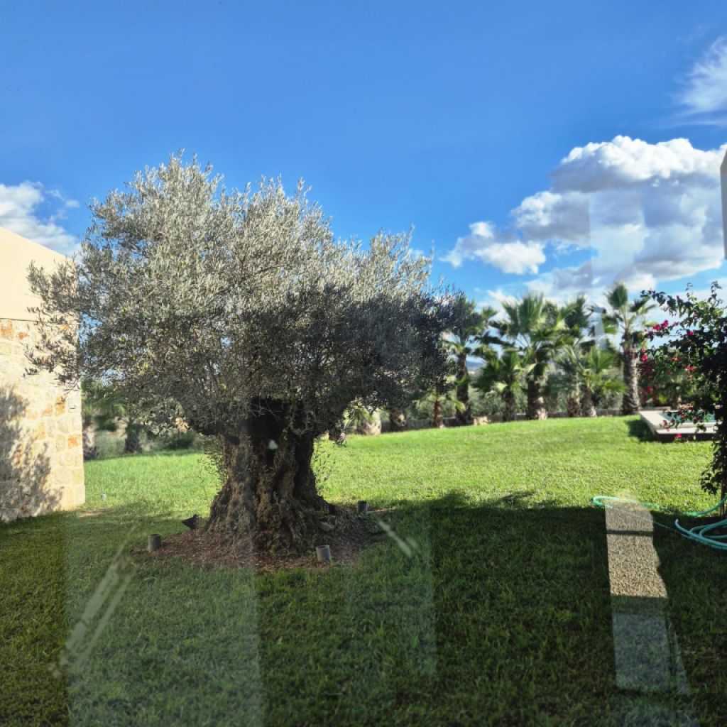 Charmante Finca in der Nähe der Rafa Nadal Schule – Manacor