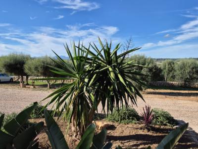 Charmante Finca in der Nähe der Rafa Nadal Schule – Manacor