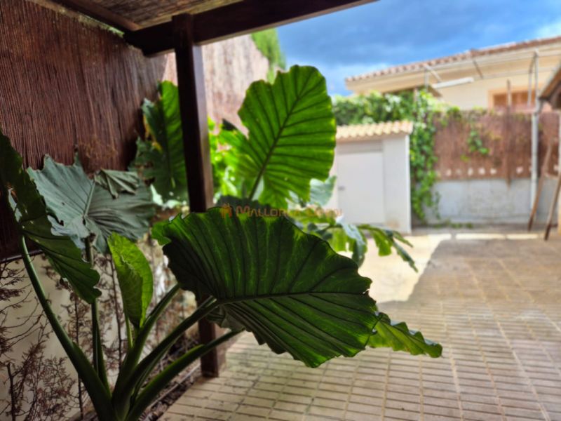 Encantadora casa adosada en la mejor zona residencial de Porto Cristo