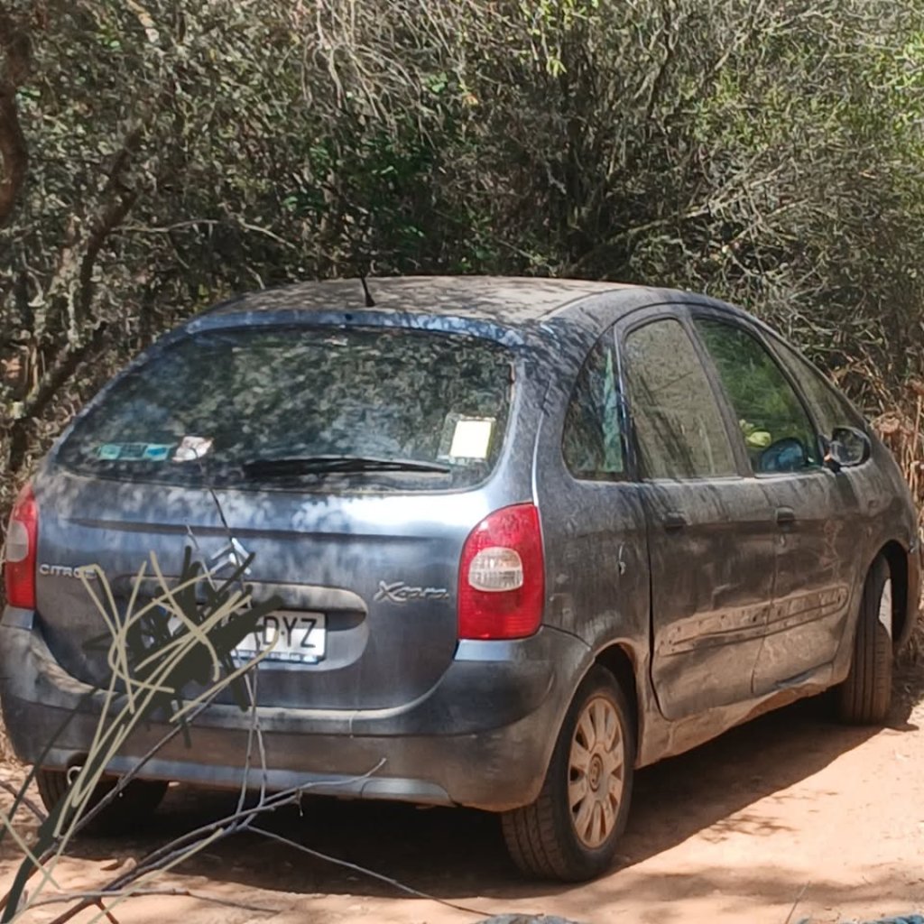 Citroen Xsara Picasso