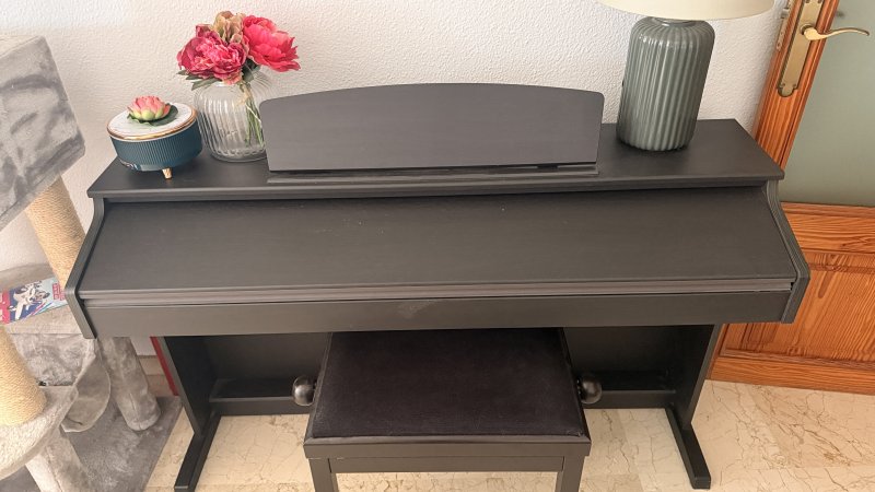 Classic Cantabile DP-50 Digital Piano  88 gewichtete Tasten  inkl. Klavierbank  Top Zustand