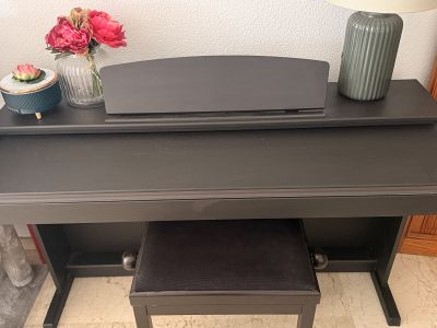 Classic Cantabile DP-50 Digital Piano  88 gewichtete Tasten  inkl. Klavierbank  Top Zustand