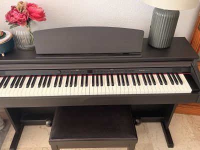 Classic Cantabile DP-50 Digital Piano  88 gewichtete Tasten  inkl. Klavierbank  Top Zustand
