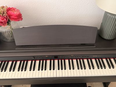 Classic Cantabile DP-50 Digital Piano  88 gewichtete Tasten  inkl. Klavierbank  Top Zustand