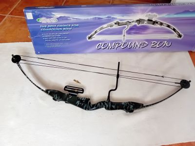 Compound Bogen