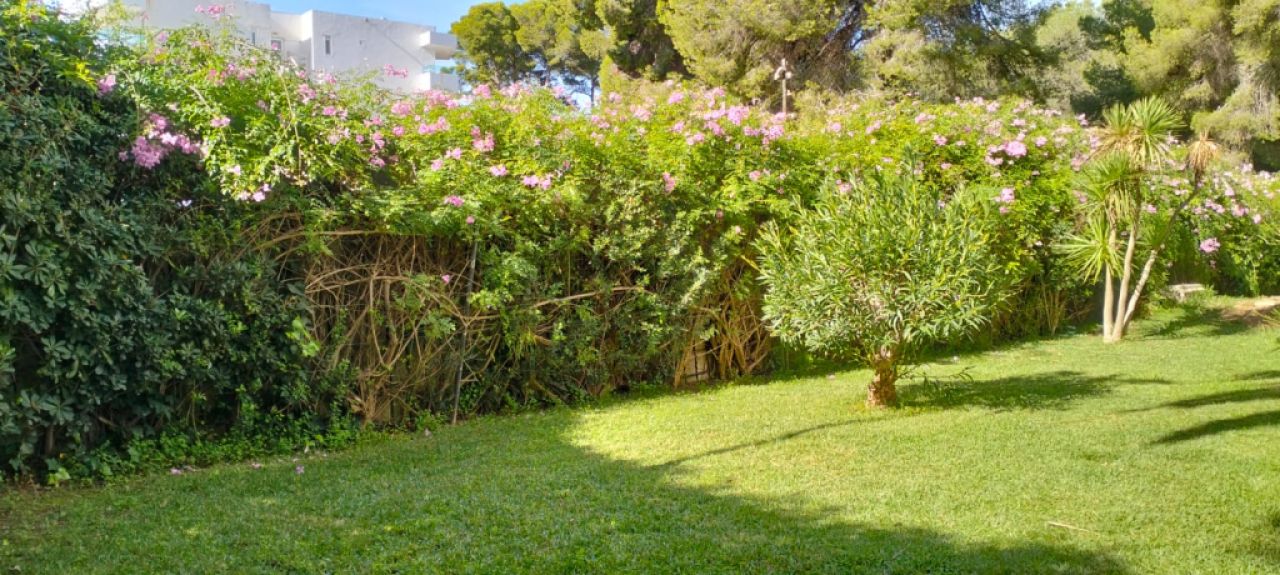 COSTA DE LA CALMA: Komplett sanierte ERDGESCHOSS-WOHNUNG mit 1 SZ in ruhiger Hausgemeinschaft