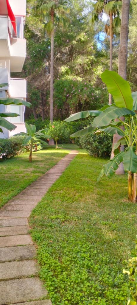 COSTA DE LA CALMA: Komplett sanierte ERDGESCHOSS-WOHNUNG mit 1 SZ in ruhiger Hausgemeinschaft