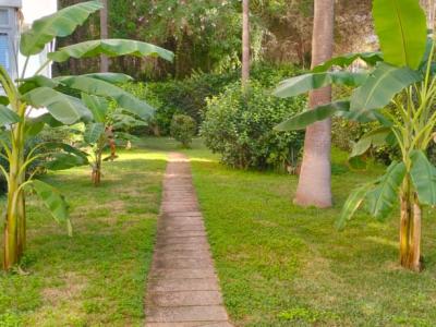 COSTA DE LA CALMA: Komplett sanierte ERDGESCHOSS-WOHNUNG mit 1 SZ in ruhiger Hausgemeinschaft