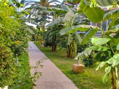 COSTA DE LA CALMA (SANTA PONSA): Renovierungsbedürftiges Studio fussläufig zum Strand