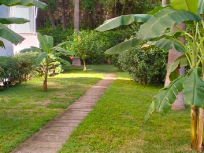 COSTA DE LA CALMA (SANTA PONSA): Renovierungsbedürftiges Studio fussläufig zum Strand