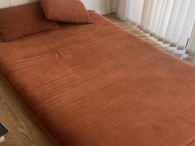 Pull-out sofa