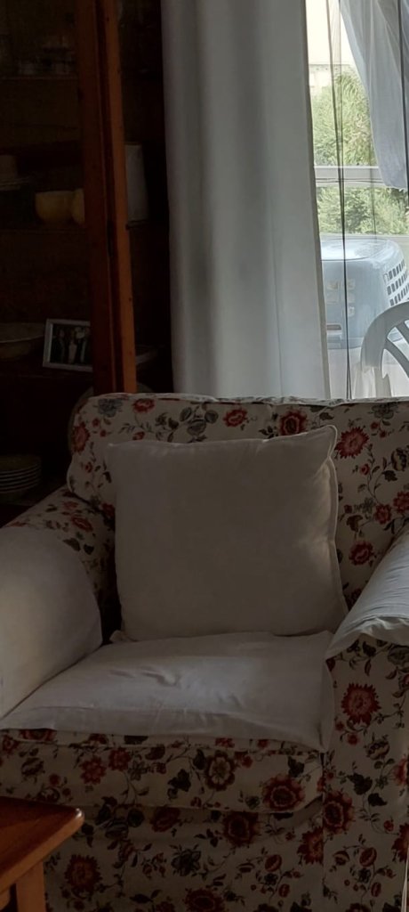 Couchgarnitur 2er und Sessel