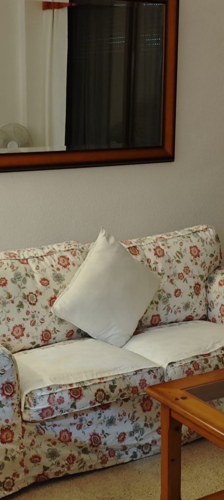 Couchgarnitur 2er und Sessel