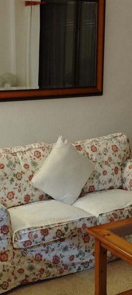 Couchgarnitur 2er und Sessel