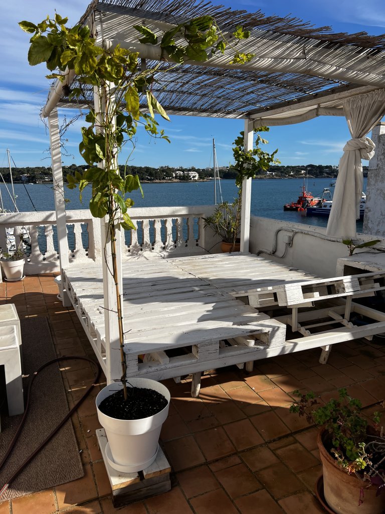 Custom Daybed